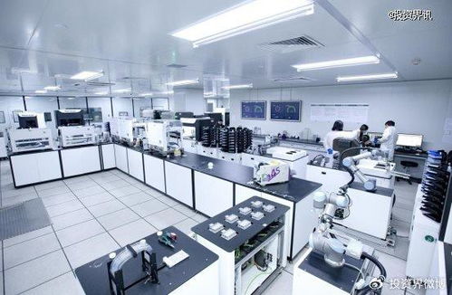 博瑞迪完成2.5億元B輪融資，專注生物育種技術(shù)服務(wù)，引領(lǐng)農(nóng)業(yè)科技新浪潮